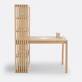 Omkeerbaar bureau boekenkast, Theonie