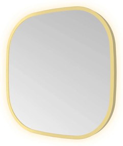 Hotbath &More Contour spiegel deens ovaal 40x40cm geborsteld messing PVD