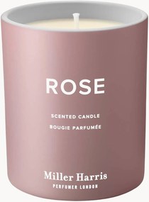 Geurkaars Rose (Turkse rozenabsolute, zwarte bes, cashmere muskus)