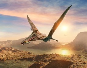 Ilustratie Pterosaur scene 3D illustration, Warpaintcobra