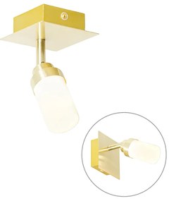 Moderne badkamer spot messing IP44 - Japie