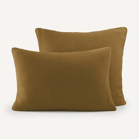 Kussensloop in biologisch tetra, Yafa