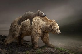 Foto BabyBear, Marcel Egger