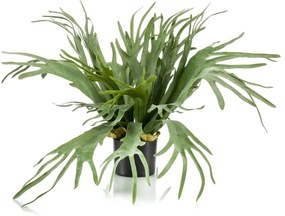 Varen Staghorn Kunstplant - 65 cm