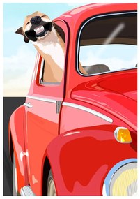 Ilustratie Zoom Dog, ByKammille