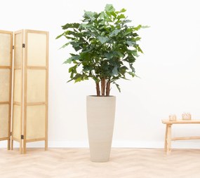 Kunstplant Caryota Mitis - 130cm