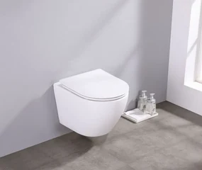 Saniclear Itsie softclose toiletzitting glans wit