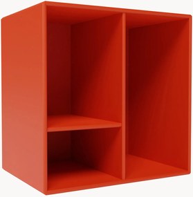 Module Mini 1002