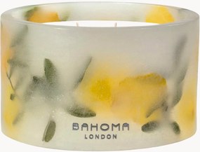 Met de hand gegoten 3-lonts geurkaars Botanica (den, citrus, ceder)