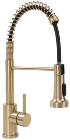 Keukenkraan REA Colin Gold Brush