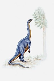 Ilustratie Illustration of a Plateosaurus reaching for, Dorling Kindersley