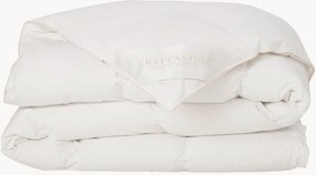 Donzen dekbed Comfort, warm