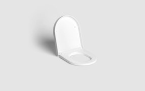 Clou Hammock randloos toilet keramiek 56cm met softclose zitting wit glans