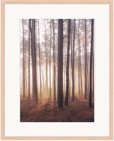 Ingelijste digitale print Into The Foggy Woods