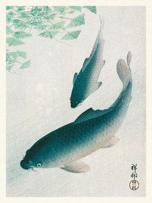 Kunstreproductie Two Carp Fish (Japandi Vintage) - Ohara Koson, (30 x 40 cm)