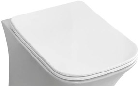 Eastbrook Beddington softclose toiletzitting wit glans