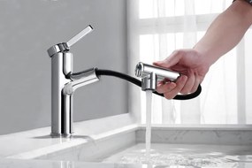 Best Design Asproli wastafelkraan met uittrekbare sproeiuitloop chroom