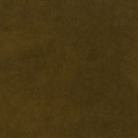 Voetensteun van fluweel, JACOPO