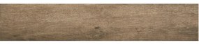 STN Ceramica wand- en vloertegel - 23x120cm - Rechthoek - 10mm - Houtlook - Merbau viejo SW0731101