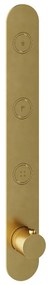 Hotbath Cobber Afbouwdeel thermostaat Verticaal met 3 pushbuttons Geborsteld Messing PVD PB050
