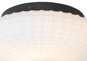 Buitenlamp Klassieke plafondlamp zwart met opaal glas 23 cm IP44 - Nohmi Klassiek / Antiek E27 IP44 Buitenverlichting rond Lamp