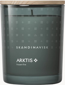 Geurkaars Arktis (Windswept Woods, Arctic Sage, Spearmint & Snowflakes)