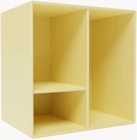 Module Mini 1002