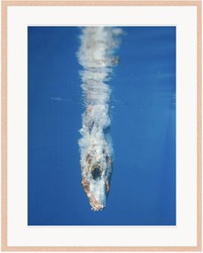 Ingelijste digitale print Diving Into The Water