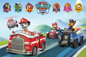 Poster Paw Patrol - Vehicles, (91.5 x 61 cm)