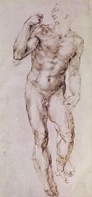 Michelangelo Buonarroti - Kunstdruk Sketch of David with his Sling, 1503-4, (23.3 x 50 cm)