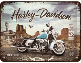 Metalen bord Harley Davidson - Born to Ride