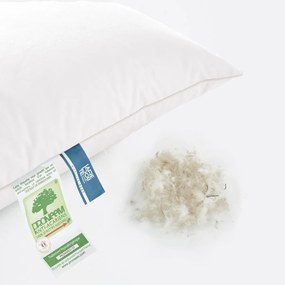 Zacht hoofdkussen 70% dons, anti-mijt