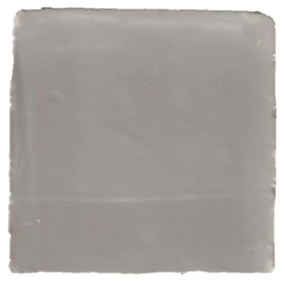 Terre d'Azur Porto wandtegel 10x10cm grijs donker - per 100 stuks