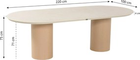 Dining Tuintafel Rechthoekige tuintafels/Ovale tuintafels 220 x 100 cm Aluminium Taupe Valencia