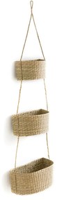 Hangende mandjes in herbarium, Cesta