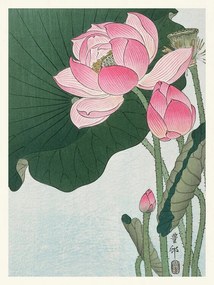 Kunstreproductie Blooming Lotus (Japandi Vintage) - Ohara Koson