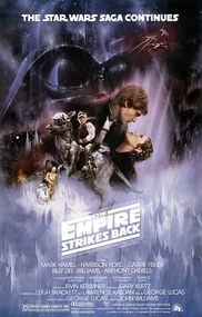 Poster Star Wars: Episode V - Het Keizerrijk slaat terug, (61 x 91.5 cm)