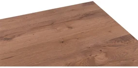 Goossens Eettafel Blade, Strak blad 220 x 100 cm 6 cm dik