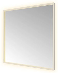 Hotbath &MORE Spiegel direct en indirect LED color changing spiegelverwarming met afstandsbediening RVS 316 SQU80IX
