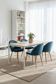 Set 4 Vint Fluwelen Stoelen