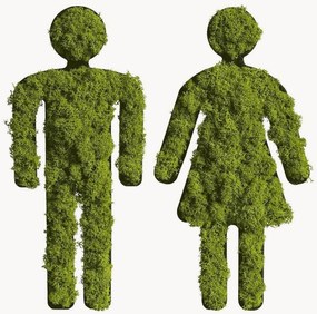 Handgemaakte mos wanddecoraties Piktogram in lijst, 2-delig