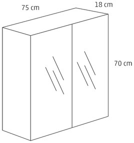 Differnz Reno spiegelkast 75cm eiken