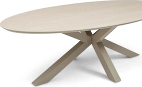 Dining Tuintafel ovaal 240 x 120 cm Taupe Lunea