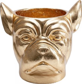 Bulldog Plantenbak Goud
