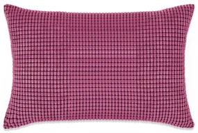 vidaXL Sierkussenset 40x60 cm velours roze 2-delig