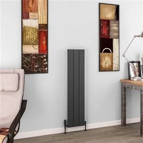 Eastbrook Charlton radiator 30x120cm aluminium 585W antraciet