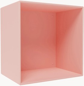 Module Mini 1001
