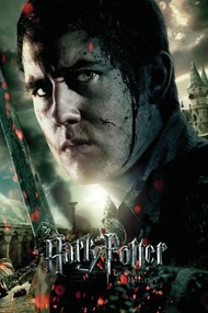 Kunstafdruk Harry Potter - Neville Longbottom