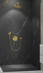 Ben Vivid inloopdouche incl. antikalk 160x200cm geborsteld messing