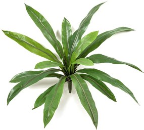 Varen Asplenium kunstplant - 40 cm